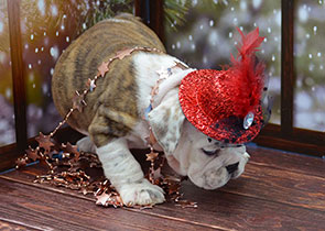 ����� ����������� ��������