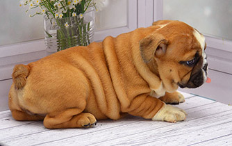 ����� ����������� ��������