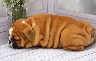 ����� ����������� ��������