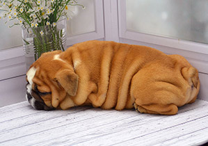 ����� ����������� ��������