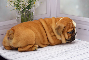 ����� ����������� ��������