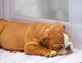 ����� ����������� ��������